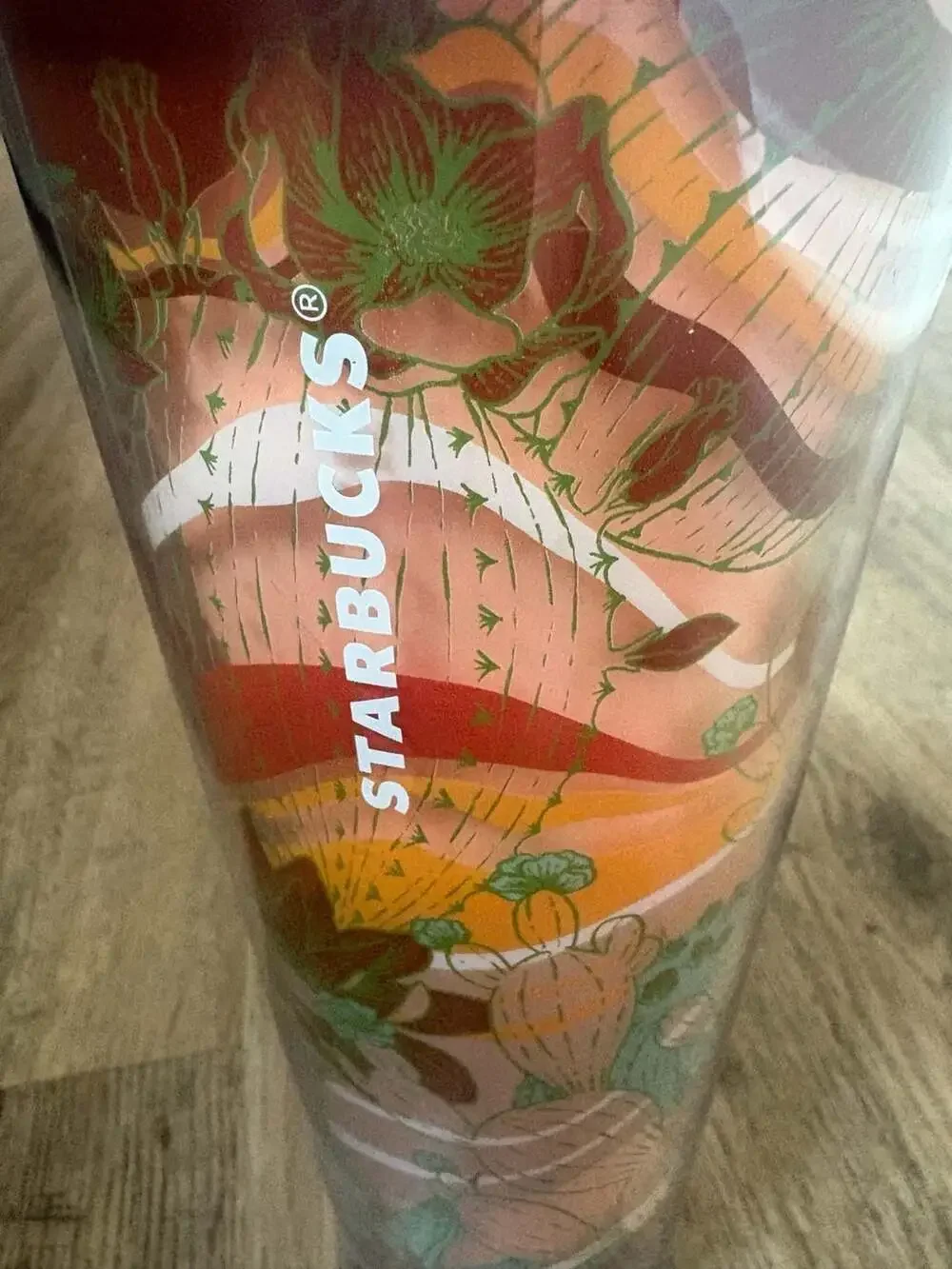 2019 Starbucks Terracotta Desert Cactus Summer Venti Tumbler 24oz